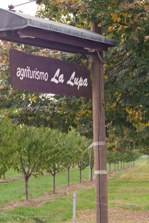 Agriturismo La Lupa Madonna della Provvidenza المظهر الخارجي الصورة
